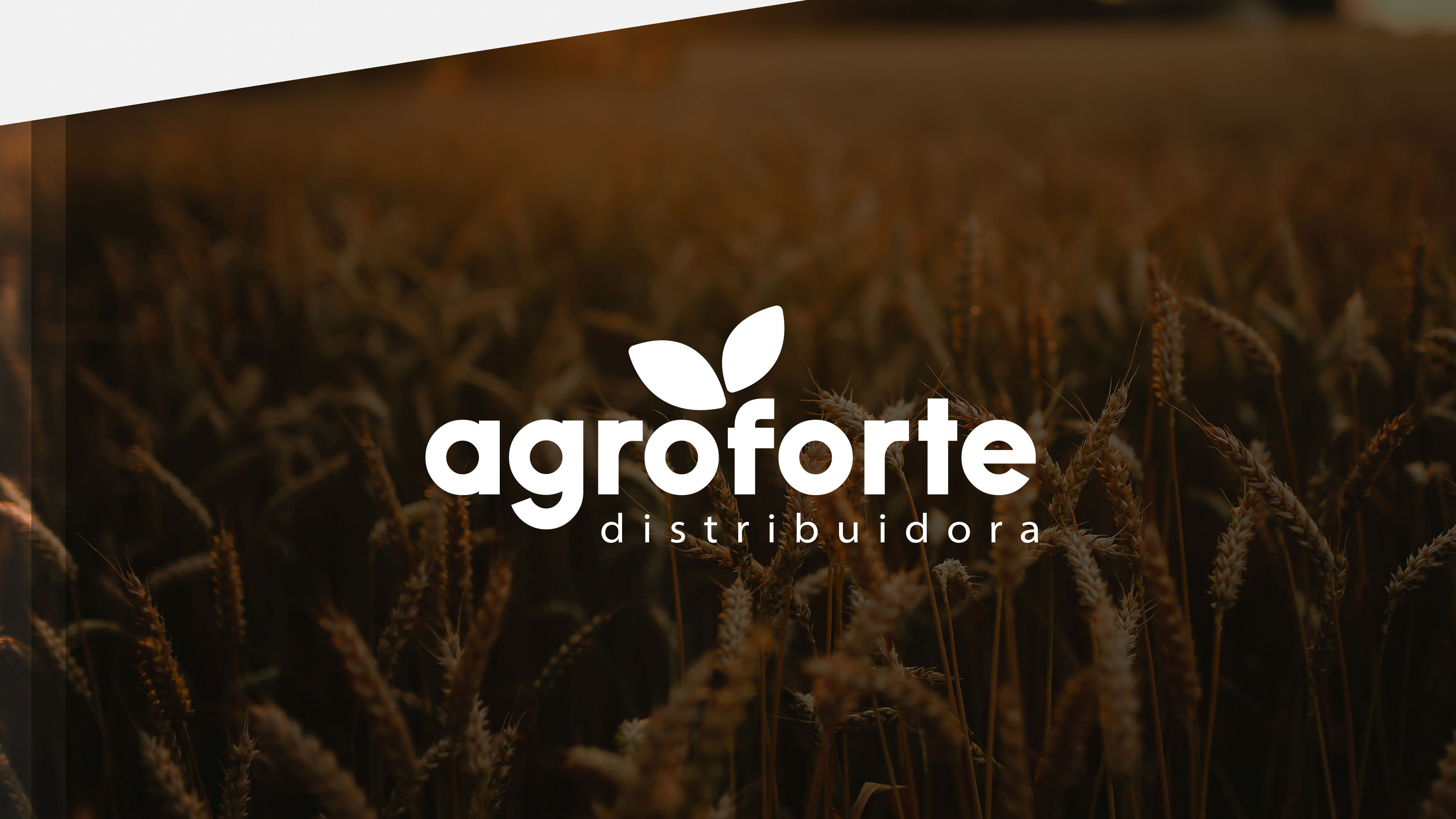 Portfolio Images