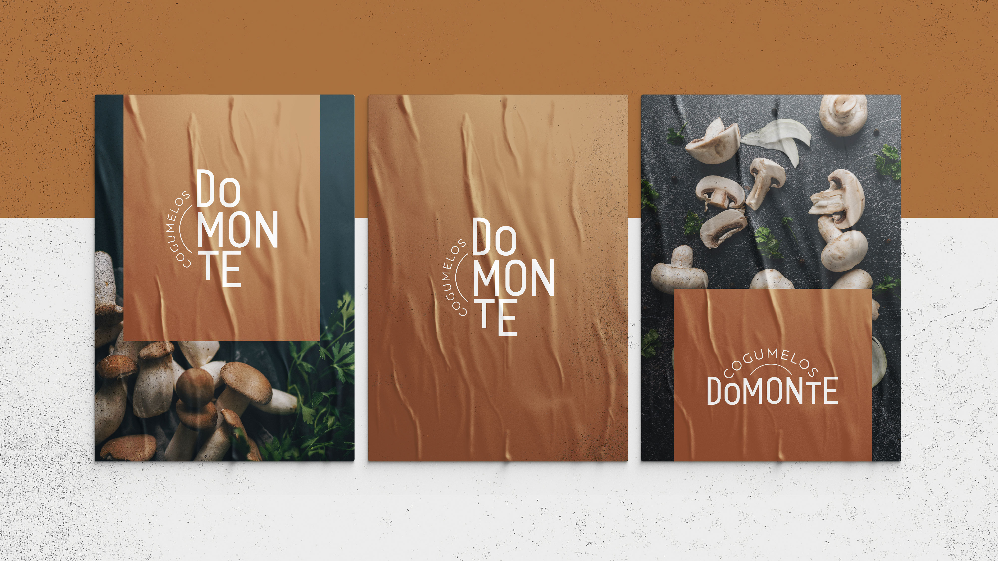 Portfolio Images